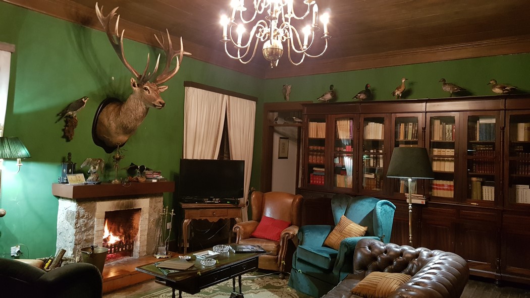 Casa do Ribeiro - Sala de estar