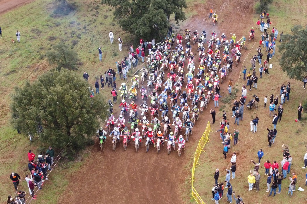 F Style Electric Mandolin 8 String Made In USA - Flat Top