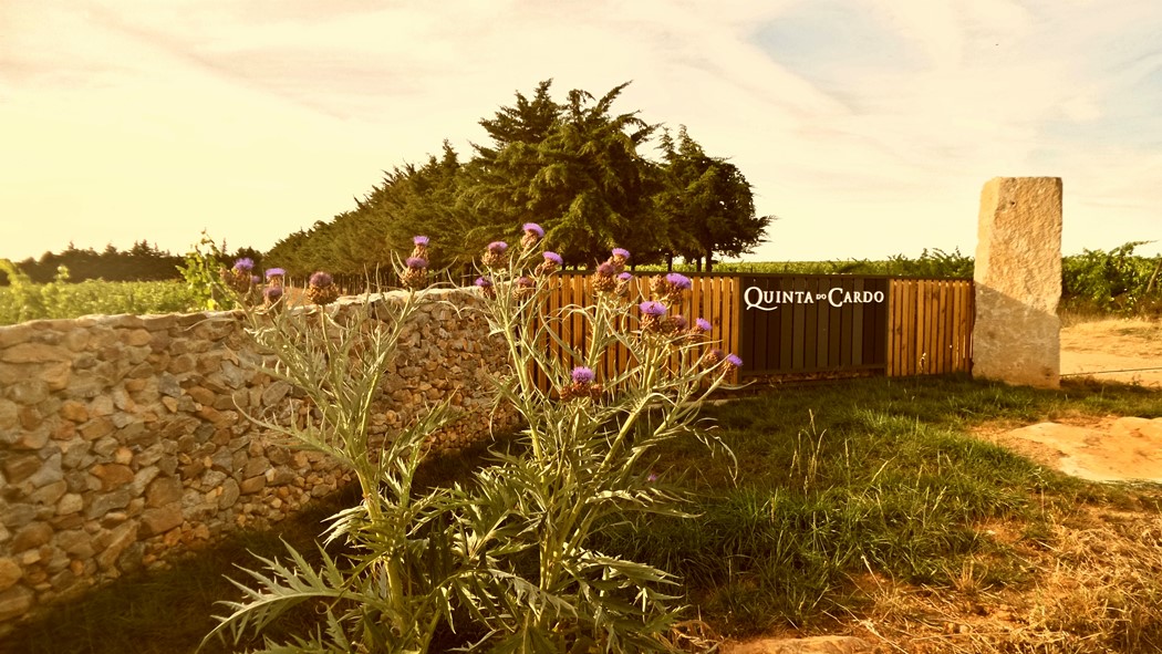 Quinta do Cardo