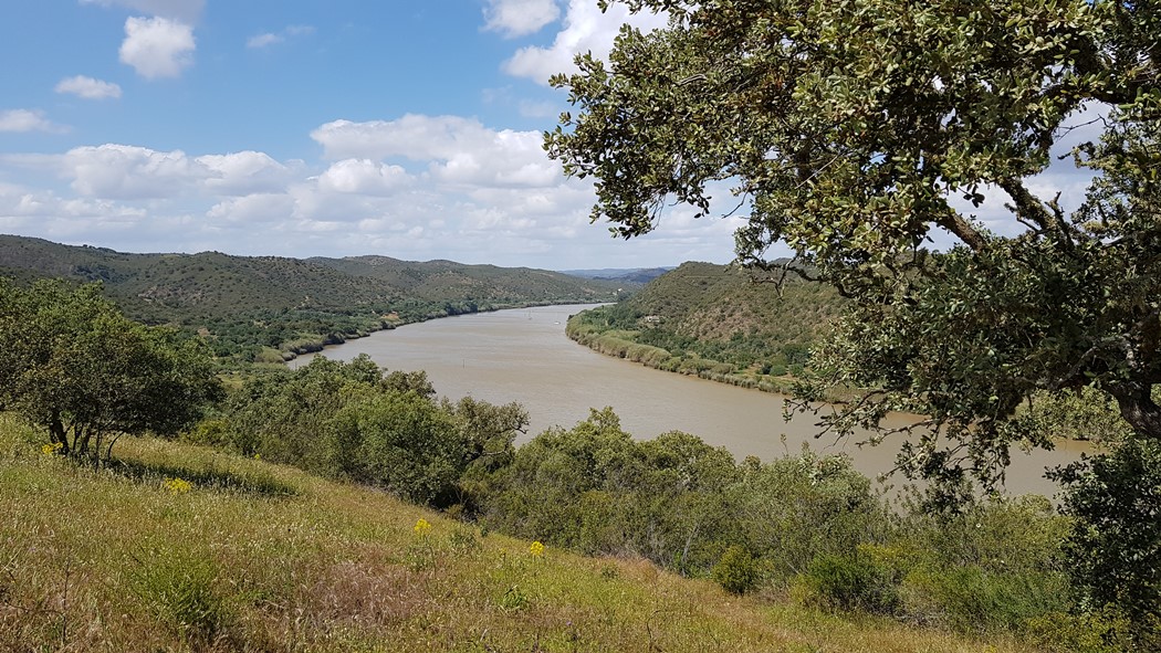 Marginal do Guadiana