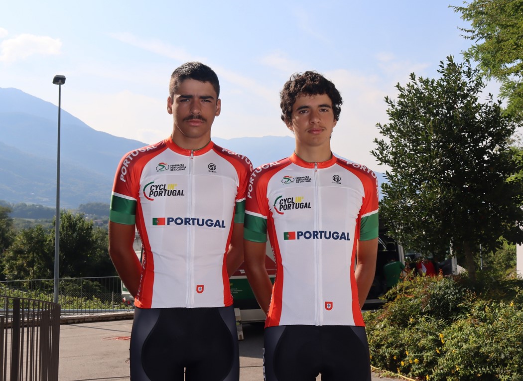 António Morgado, Gonçalo Tavares