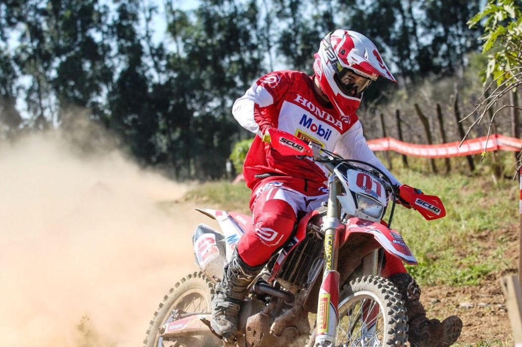 Luis Oliveira