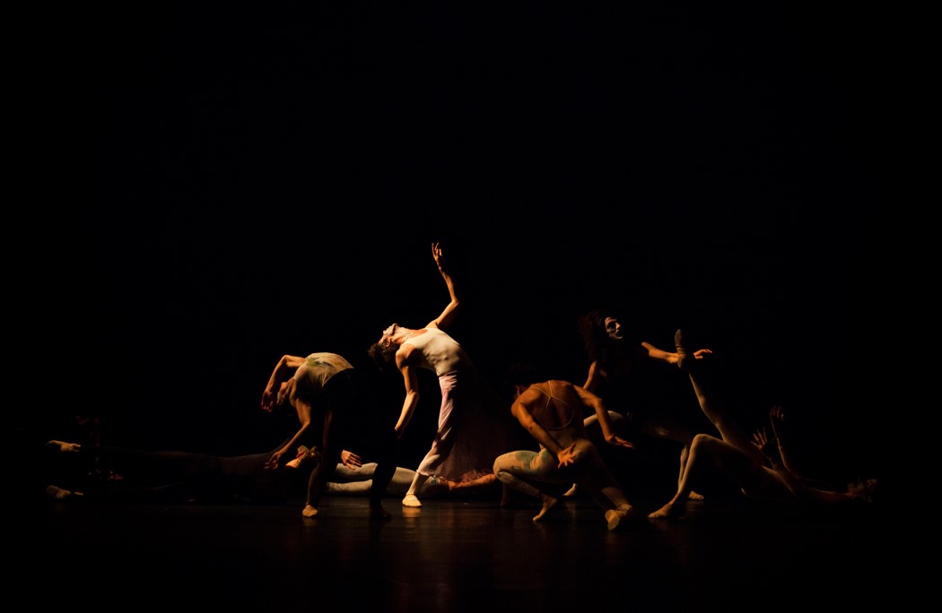 Onironauta (c) Rui Palma