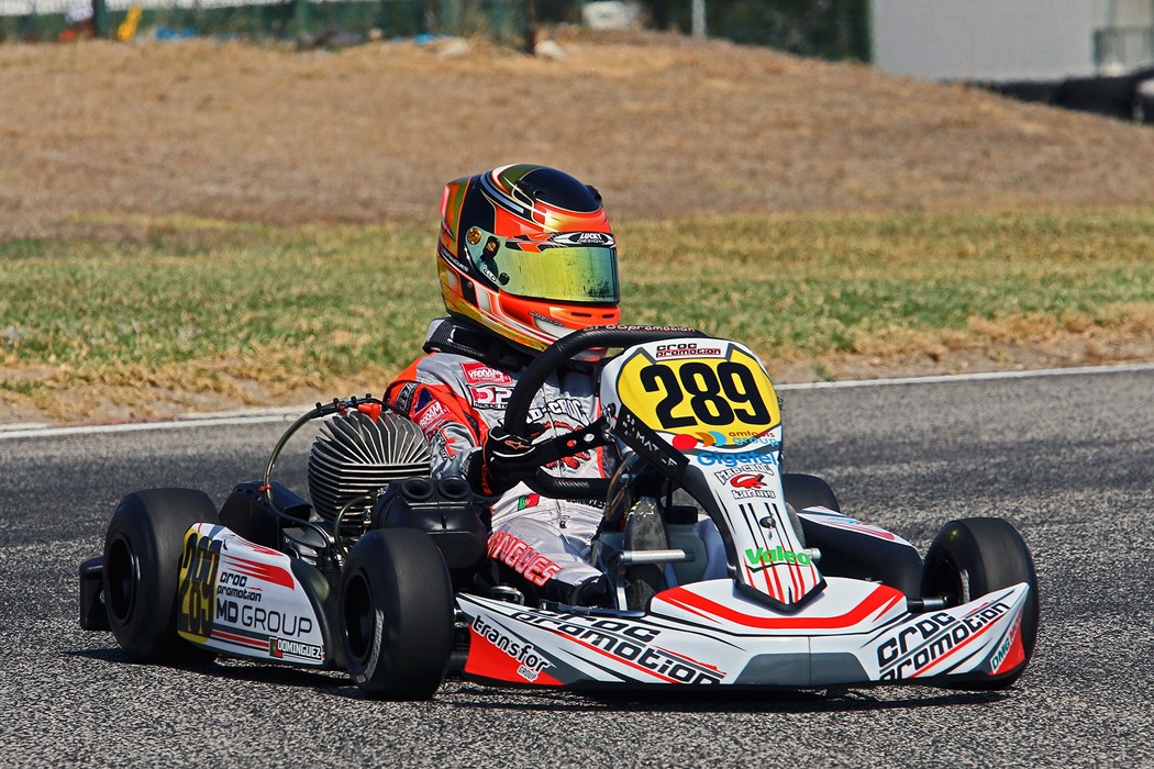 Ivan Domingues