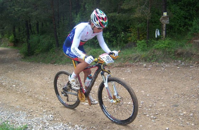 Gonçalo Amado