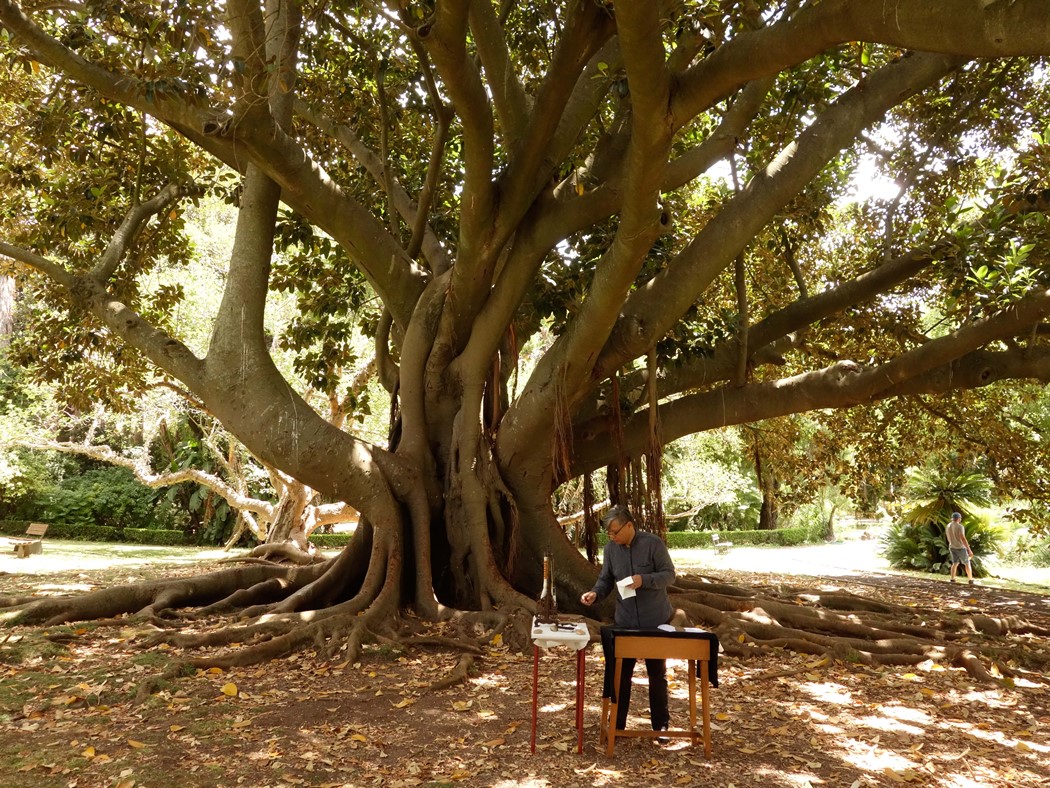 "O Som do Bambu" ©Rui Dias Monteiro