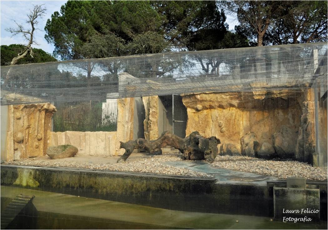 Habitat lontras europeias