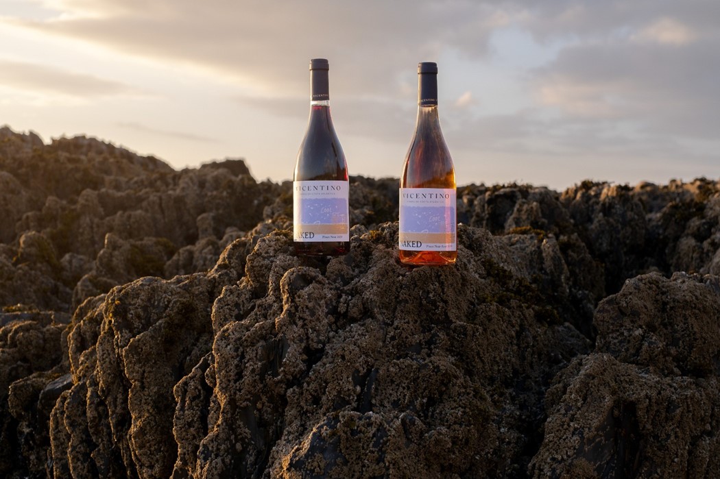 Vicentino reforça gama Naked com o lançamento do novo Pinot Noir Rosé Notícias sobre Vinhos e