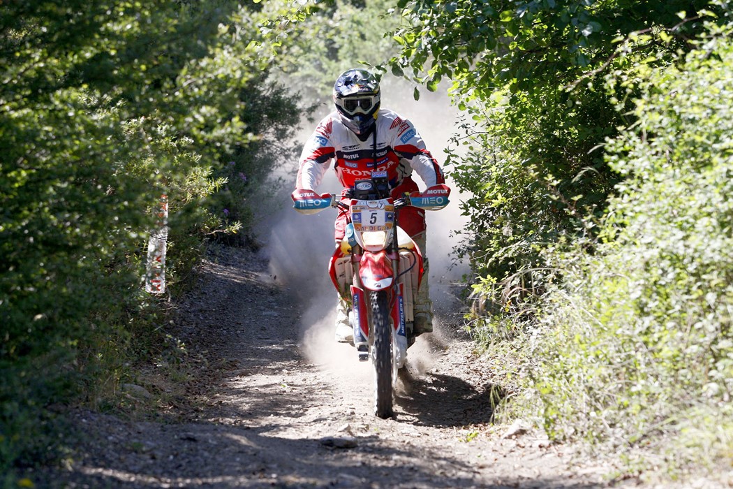 Hélder Rodrigues
