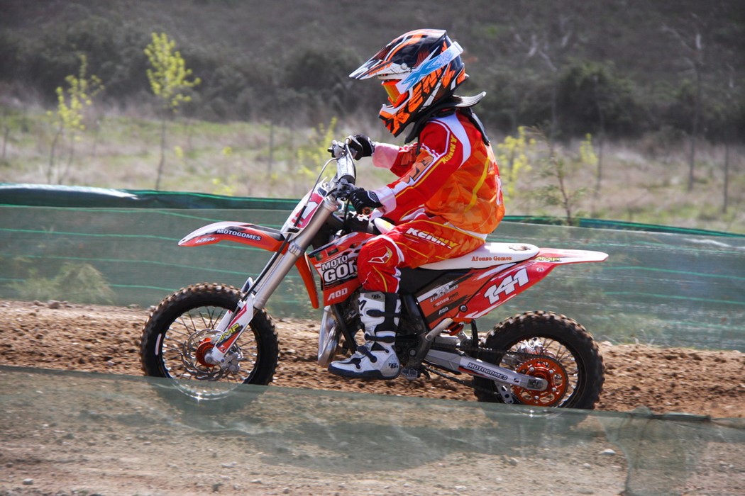 Afonso Gomes