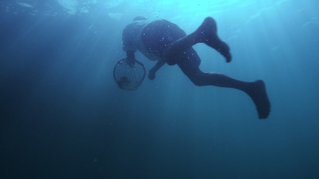 Episódio 2: "Domar o Oceano"
