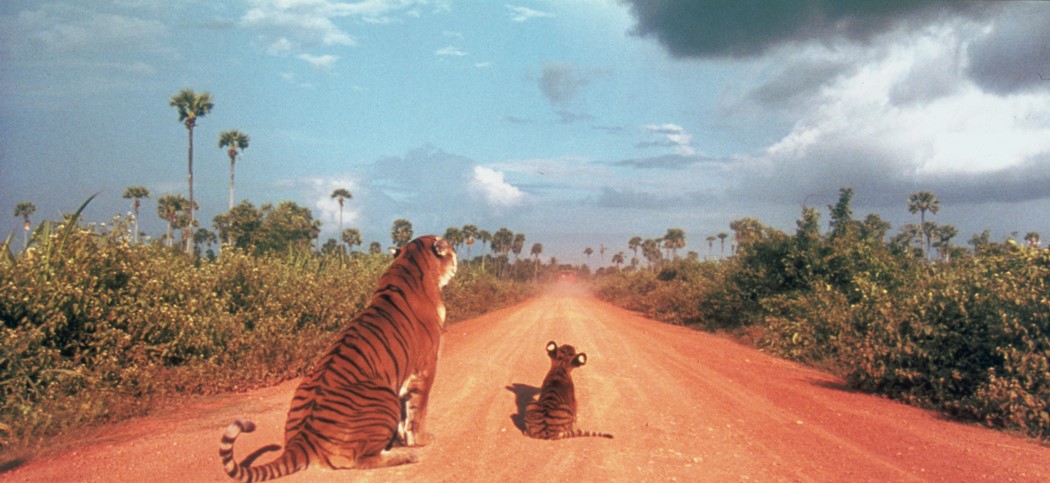 Dois Irmãos