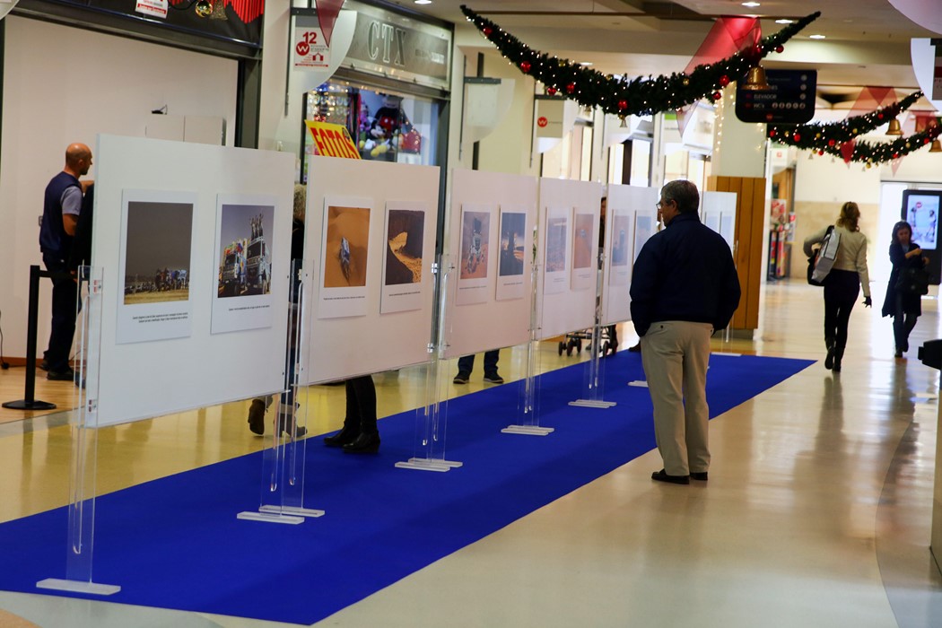 Exposição "Elisabete Jacinto no Africa Eco Race…até Dakar"