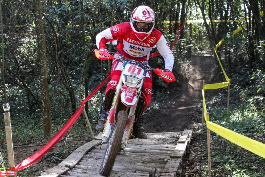 Luis Oliveira