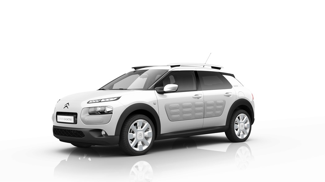 C4 Cactus