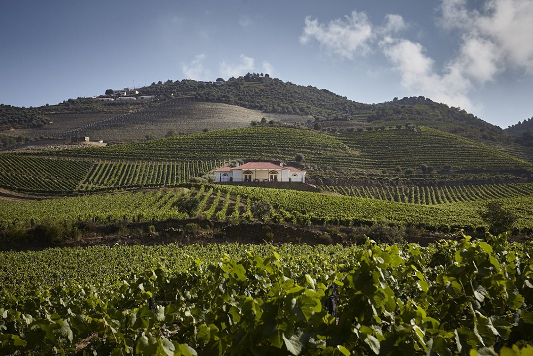 Quinta do Bonfim