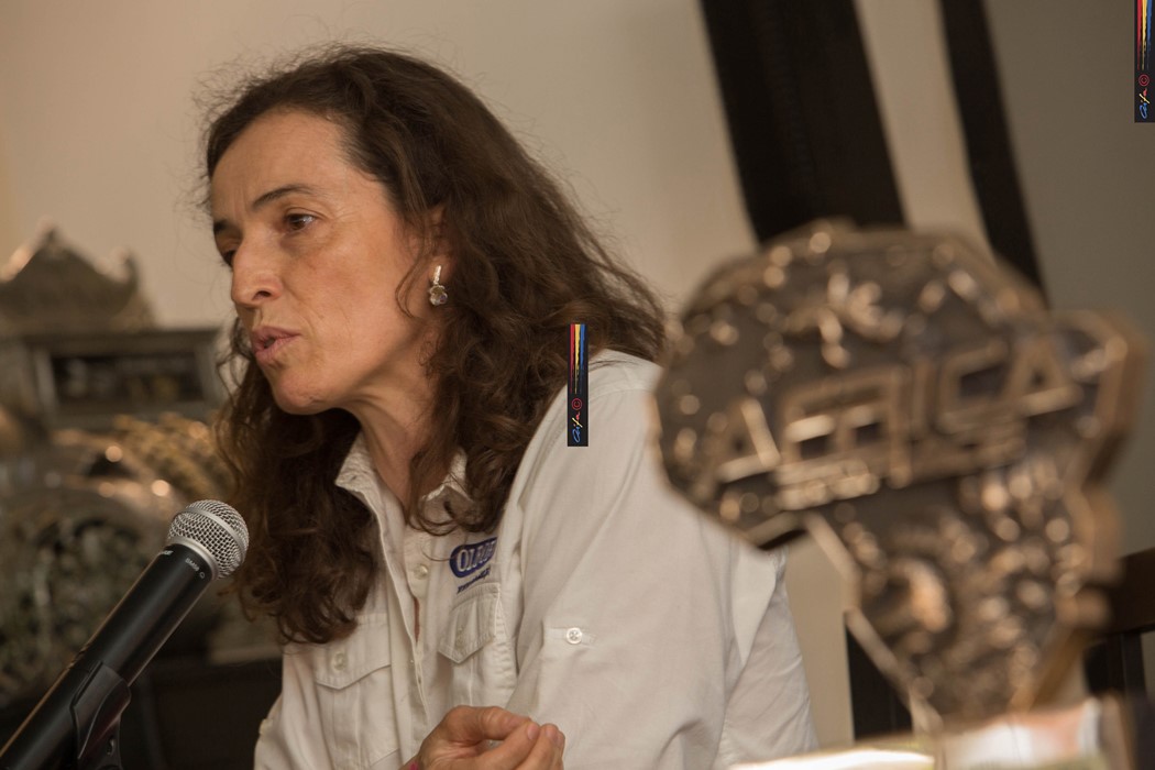 Elisabete Jacinto