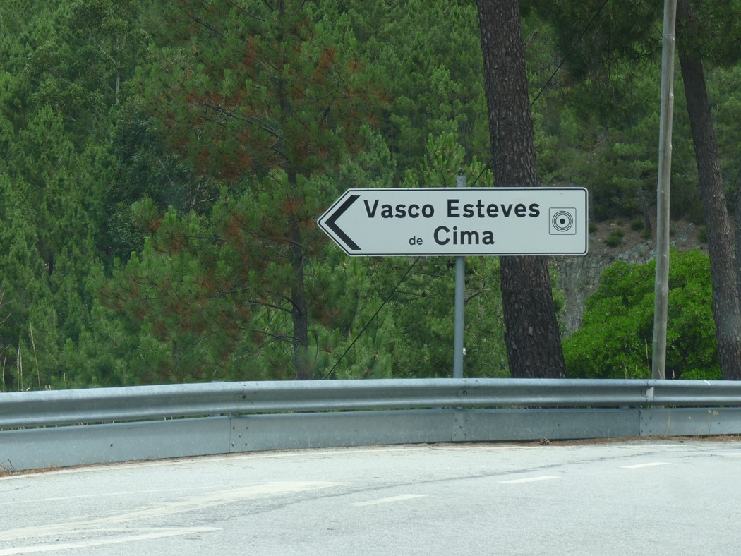 Quem foi Vasco Esteves?