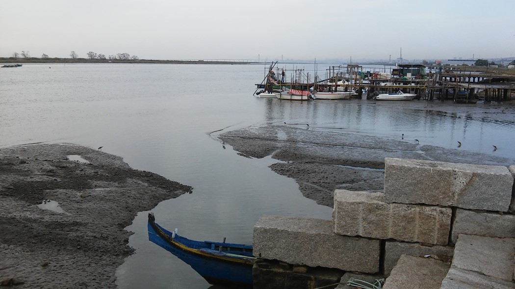 Rio Tejo na Póvoa de Santa Iria - em 2017