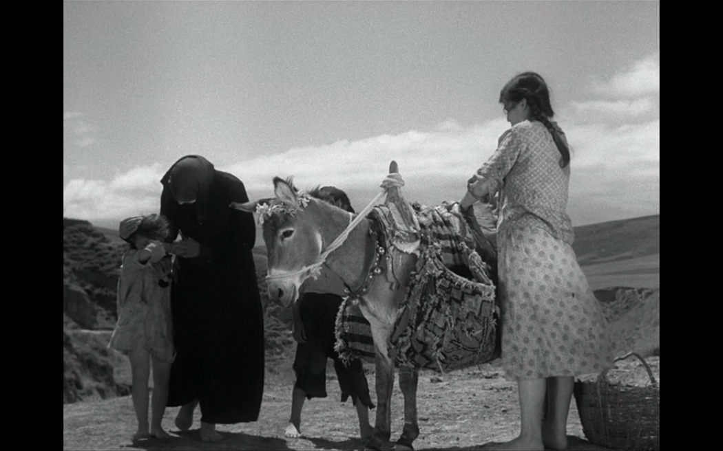 Magdana's Donkey