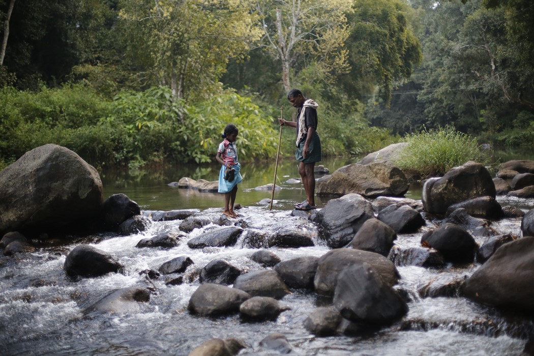 UNESCO Green Citizens /©Karat Sipa