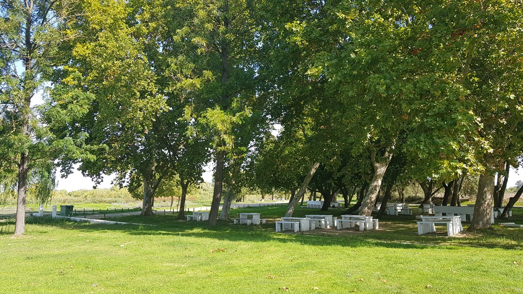 Praia Doce - Parque de Merendas