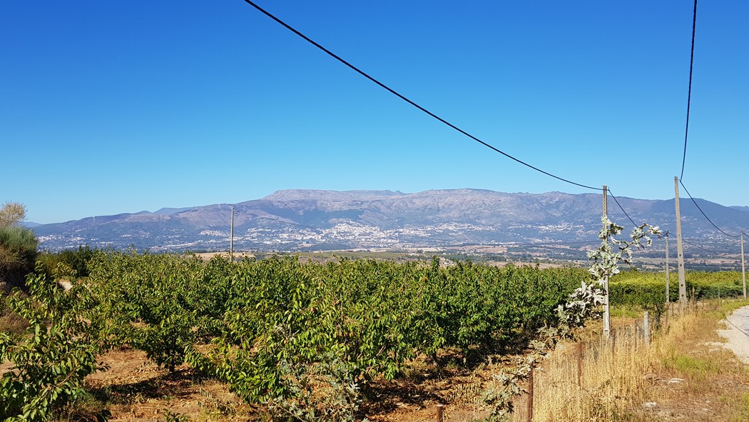 Covilhã na encosta da Serra