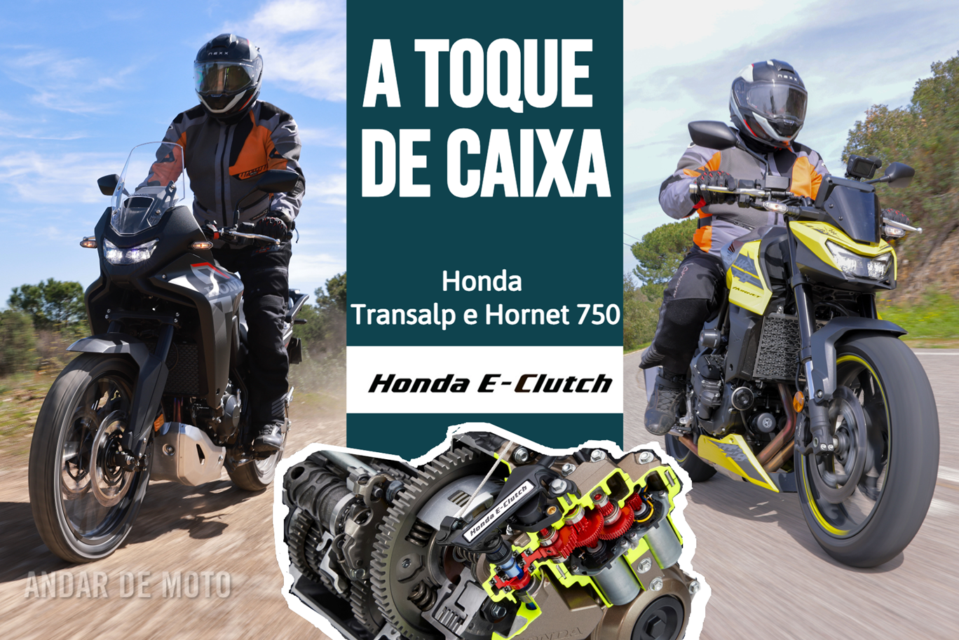 Texto: Henrique Saraiva