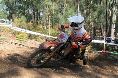 Saul Pereira