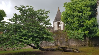 Castelo - pormenor do Jardim