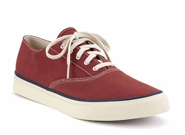 Sperry