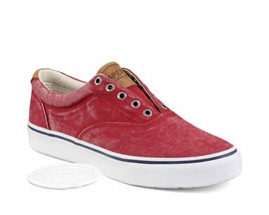 Sperry