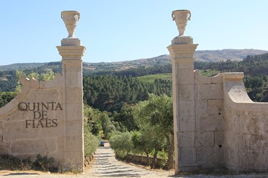 QUINTA DE FIÃES- AGROTURISMO NO DOURO