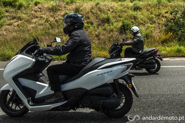 Forza 300 e X-Max 250