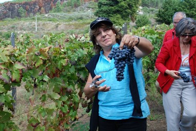ACTIVIDADES E PROGRAMAS QUINTA DE FIÃES