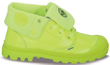PVP 79,90€