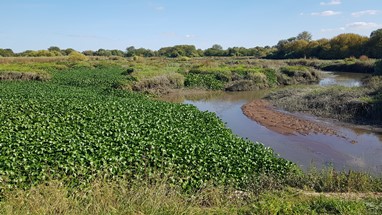Praia da Casa Branca