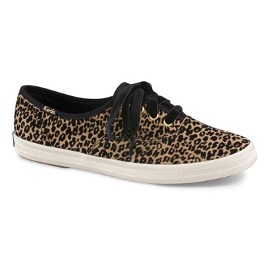 PVP - 49,90€