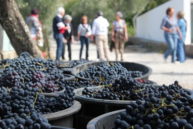 QUINTA DE FIÃES- AGROTURISMO NO DOURO