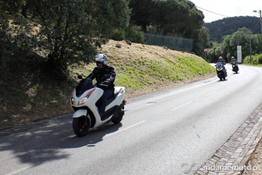 Forza 300, J300 e X-Max 400