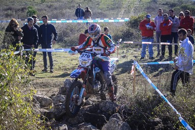 Miguel Saraiva