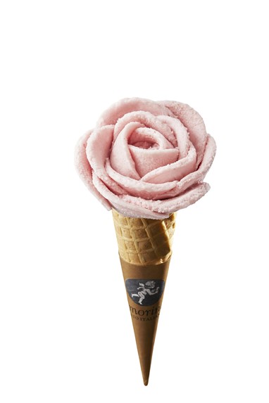 Cone lícha