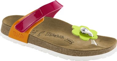 PVP - 62,90€