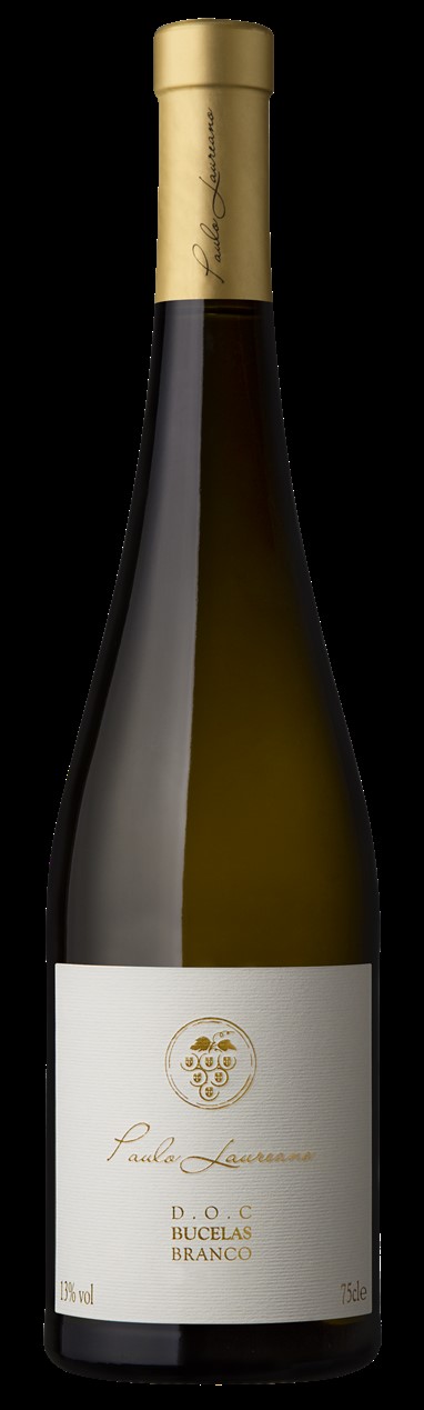 Paulo Laureano DOC Bucelas Branco 2014 - PVP: 5,99€