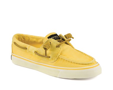 PVP - 69,90€