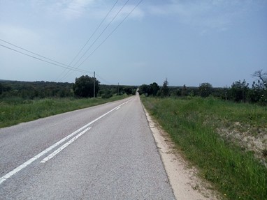 A planície alentejana