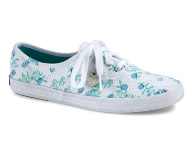 PVP - 56,90€