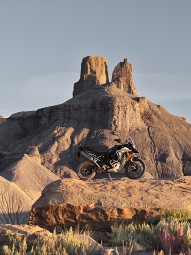 Tiger 900 Rally Pro