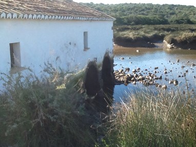 Sítio das fontes