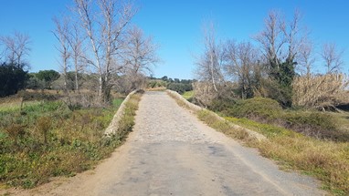 Ponte romana de Vila Ruiva